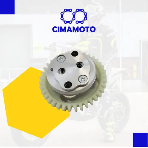 BOMBA DE ACEITE S/PROTECTOR 39T