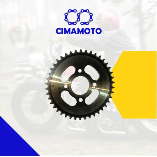 CATALINA ROCETA CG 520 42T