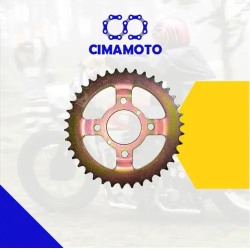 CATALINA ROCETA CG PLATO 520 38T