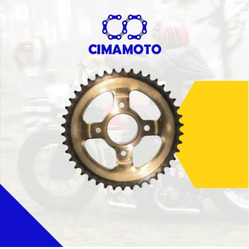 [1049-5071] CATALINA ROCETA CG PLATO 520 42T