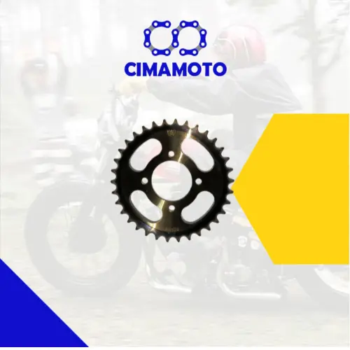 CATALINA ROCETA GN 428 38T