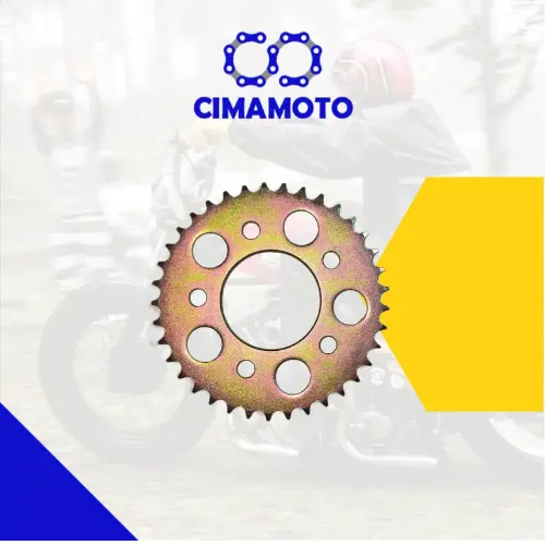 CATALINA ROCETA EAGLE 5 PERNOS 428 37T