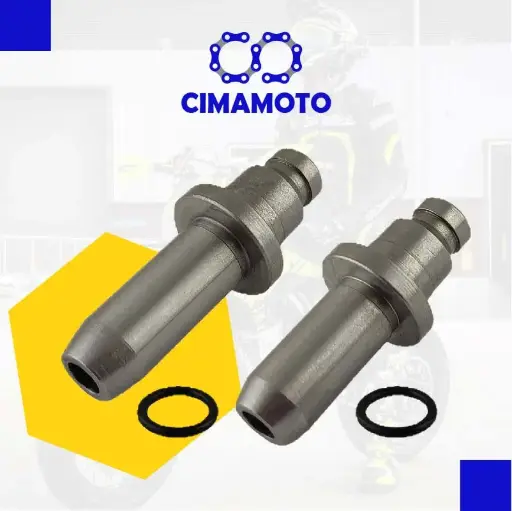 [1037-2586] GUIA DE VALVULA BIZ